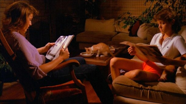 Кто это смотрит? За счет чего существуют трэшовые хорроры Кто это смотрит? За счет чего существуют трэшовые хорроры